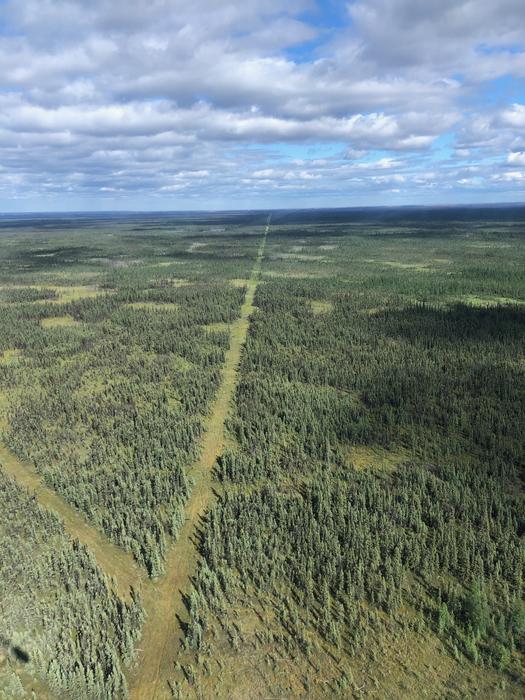 Aerial Seismic Line