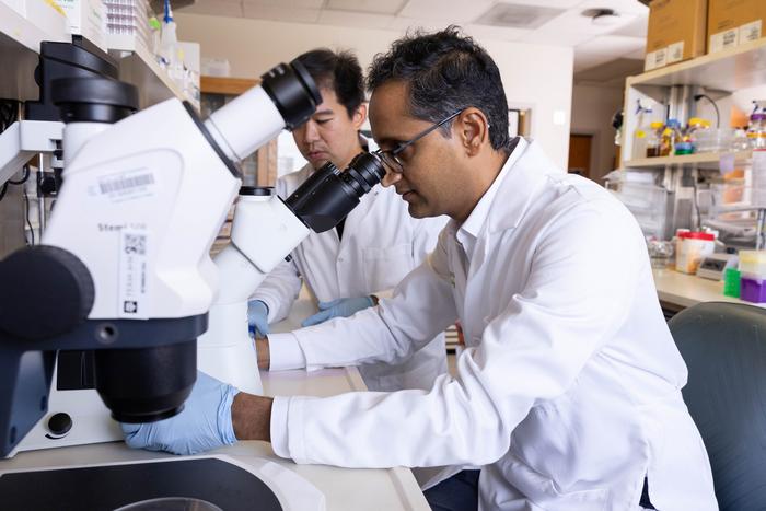Subash lab
