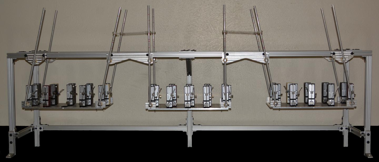Experimental System