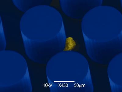 CTC-Chip and Cancer Cell