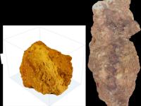 Soil Render Photos