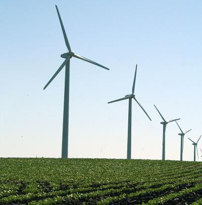 Slower Winds