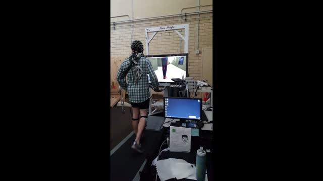 Using a Walking Avatar to Treat Gait Disabilities