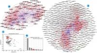 Drug Interaction Language Graph