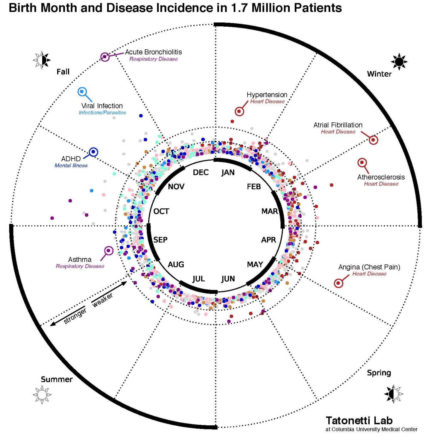 Data Visualization