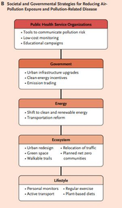Collective Action to Reduce Pollution