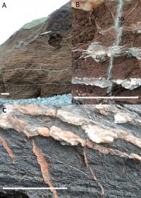 Watchet Bay Cliff Outcrops on the N. Somerset Coast, UK