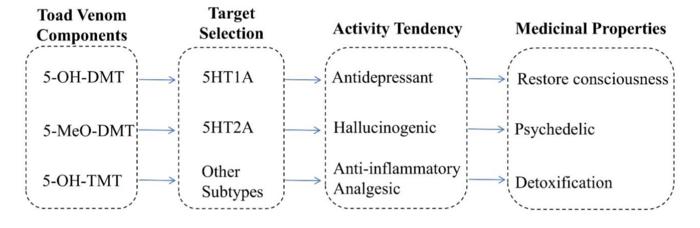 Figure 1. Research Overview