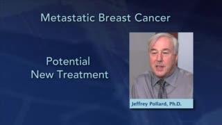 Interview with Dr. Jeffrey Pollard, Albert Einstein College of Medicine