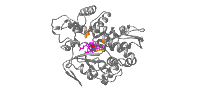 Structure of novel metalloenzyme