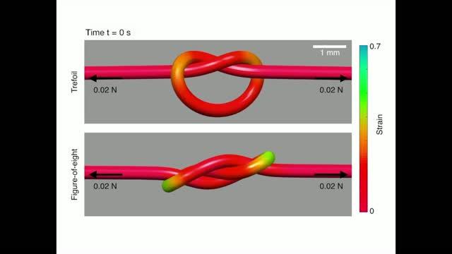 Color-Changing Fiber and Theory Reveal Fundamental Mystery of Knots (7 of 12)