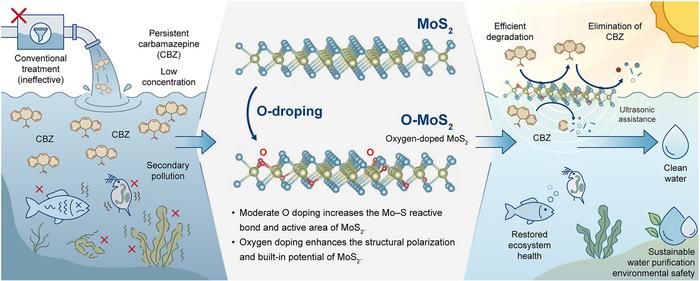 Oxygen-Doped MoS₂ Enables Rapid Piezo-Photocatalytic Removal of Carbamazepine.