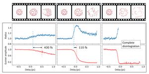 Experimental results and movie stills