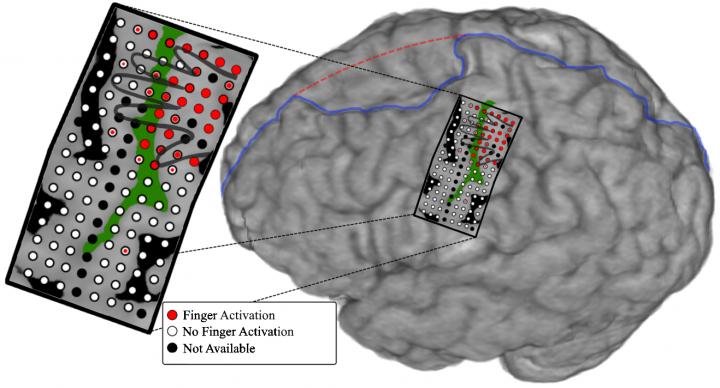 HandsOnBrain