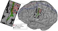 HandsOnBrain
