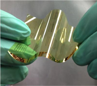 Flexible CNT Chip