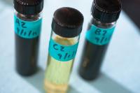 A New Anti-Corrosion Coating?