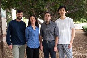 Researchers prove the superior colliculus, an ancestral brain structure, performs visual computations once thought to be exclusive to the cortex