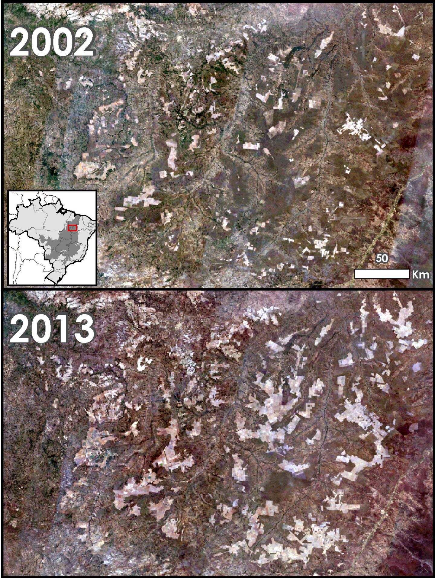 Agriculture Expansion in the Cerrado