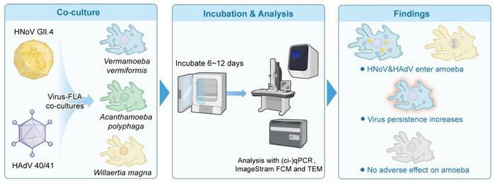 Graphical Abstract