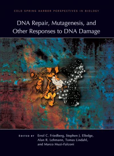 DNA Repair, Mutagenesis, and Other Responses to DNA Damage