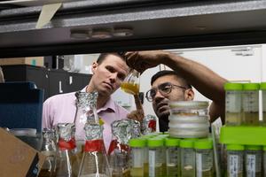 Fungus researchers