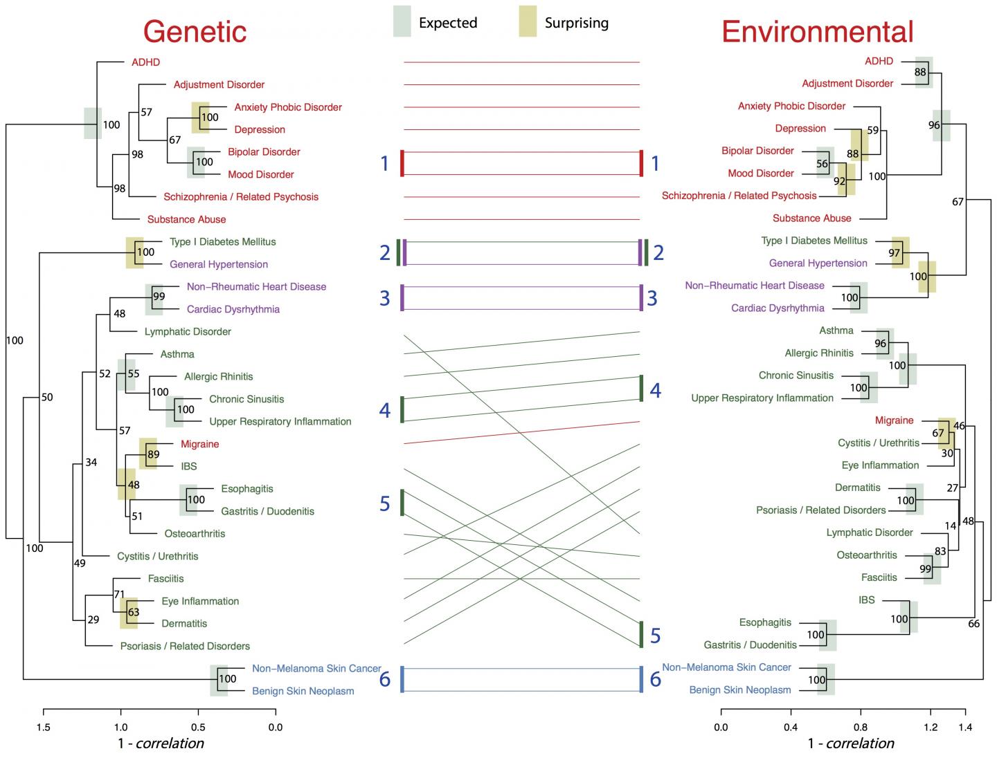 New Disease Classifications