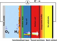 Schematic Sketch of the Device