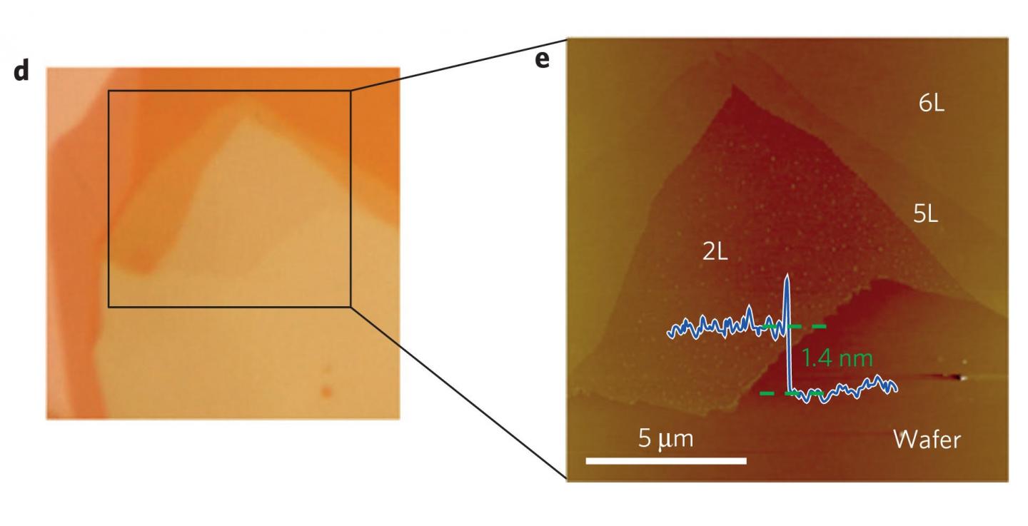 Membrane Sample of the Niobium Telluride Compound Nb3SiTe6