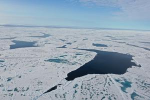 Arctic Sea Ice