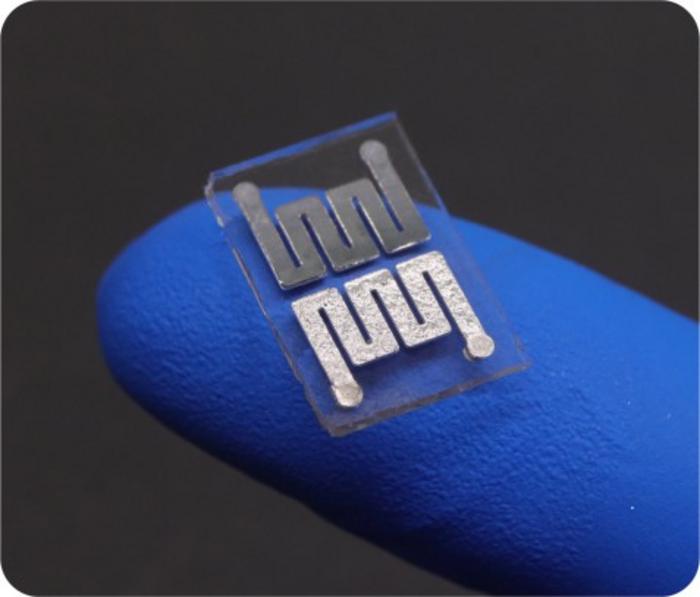 The positive and negative electrodes of a single cell