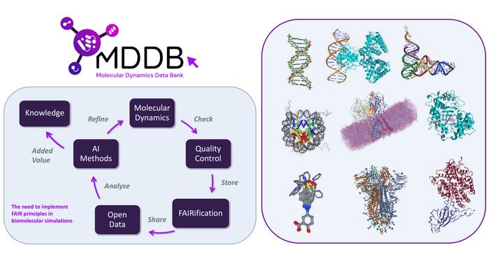 Towards a FAIR database for molecular simulations