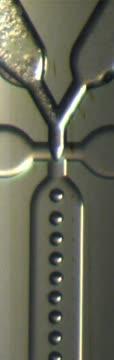 Microdroplet Production