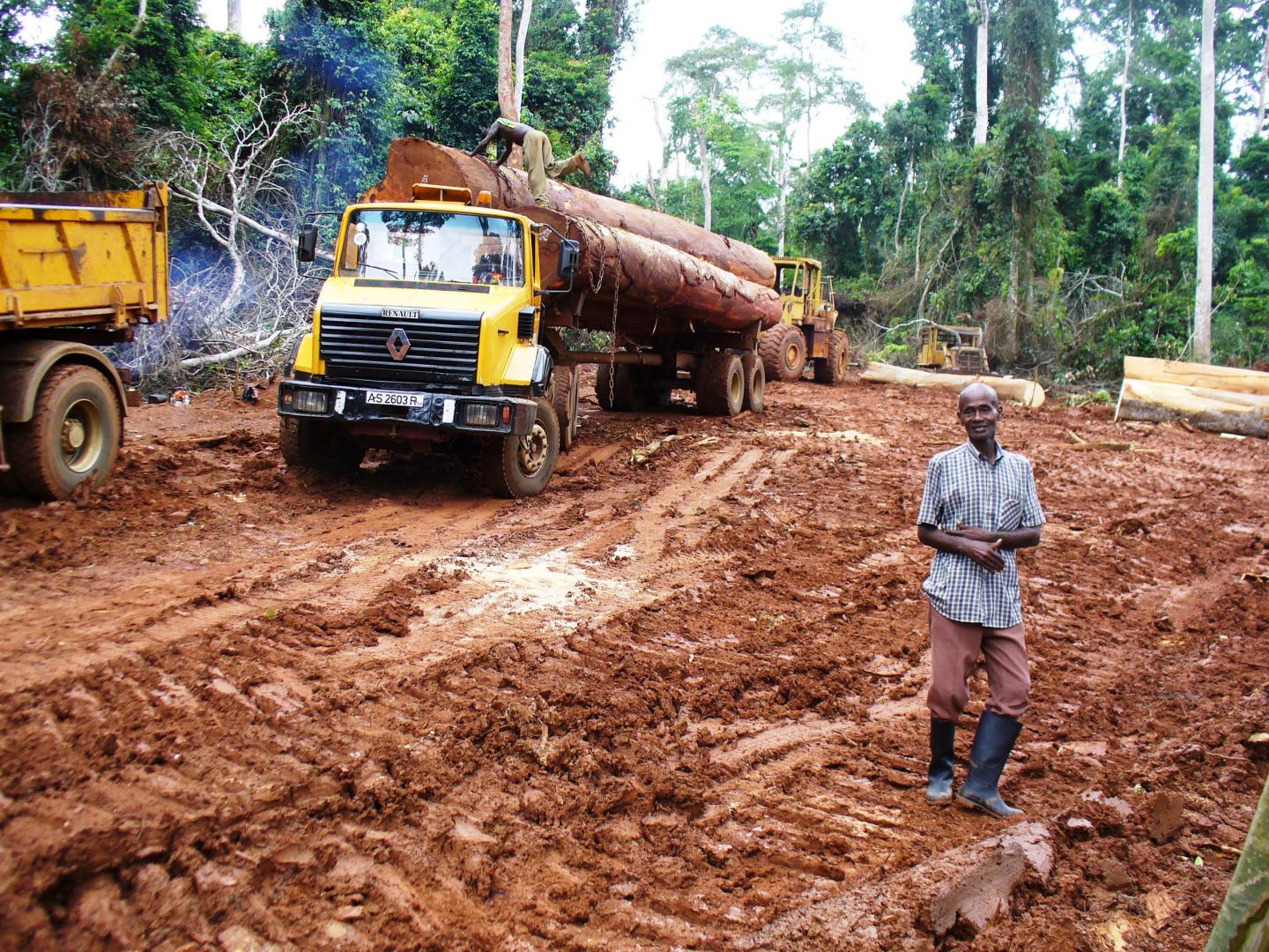 Legal Logging