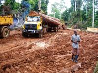 Legal Logging
