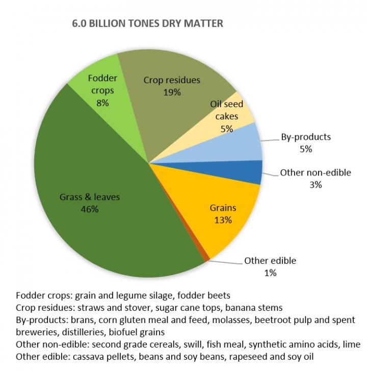 Livestock Production, a Much Smaller Challenge to Global Food Security Than Often Reported