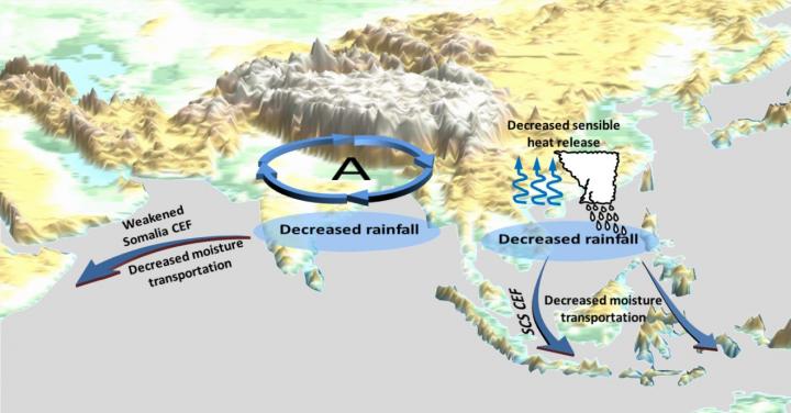 Maritime Continent Weakens Asian Tropical Monsoon Rainfall