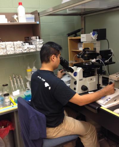 A Bare Minimum for the Y Chromosome? (6 of 9)