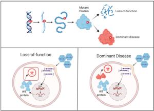 Mutation-driven disease mechanisms and implications for gene therapy