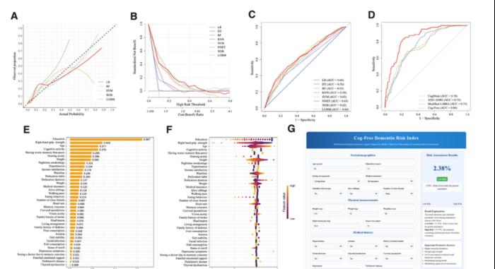 Evaluation and visualisation of Cog-Free, including model calibration, decision curves, ROC comparisons, feature importance and the web application