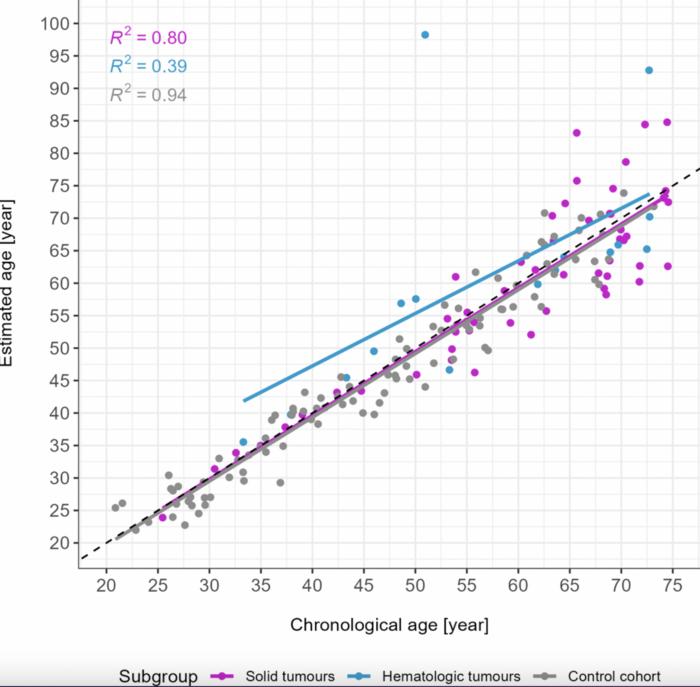 The influence of cancer on a forensic age estimation tool