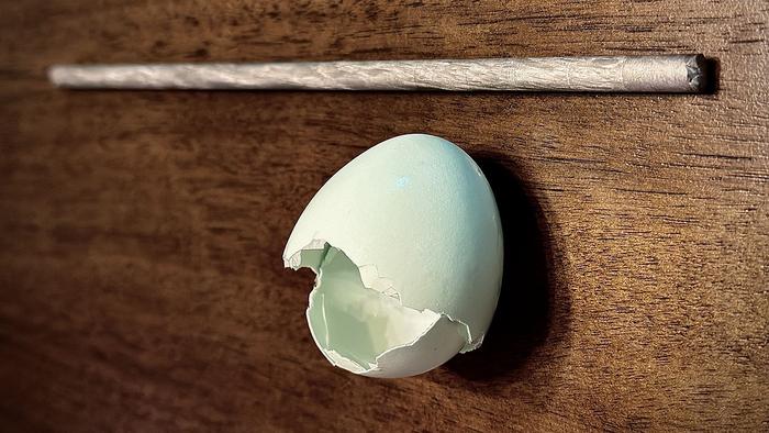 Making Better Metals with Eggshells