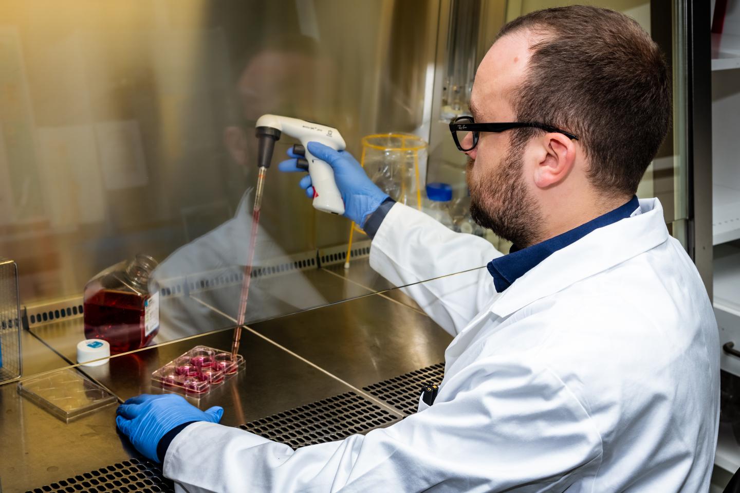 The work with cell cultures.