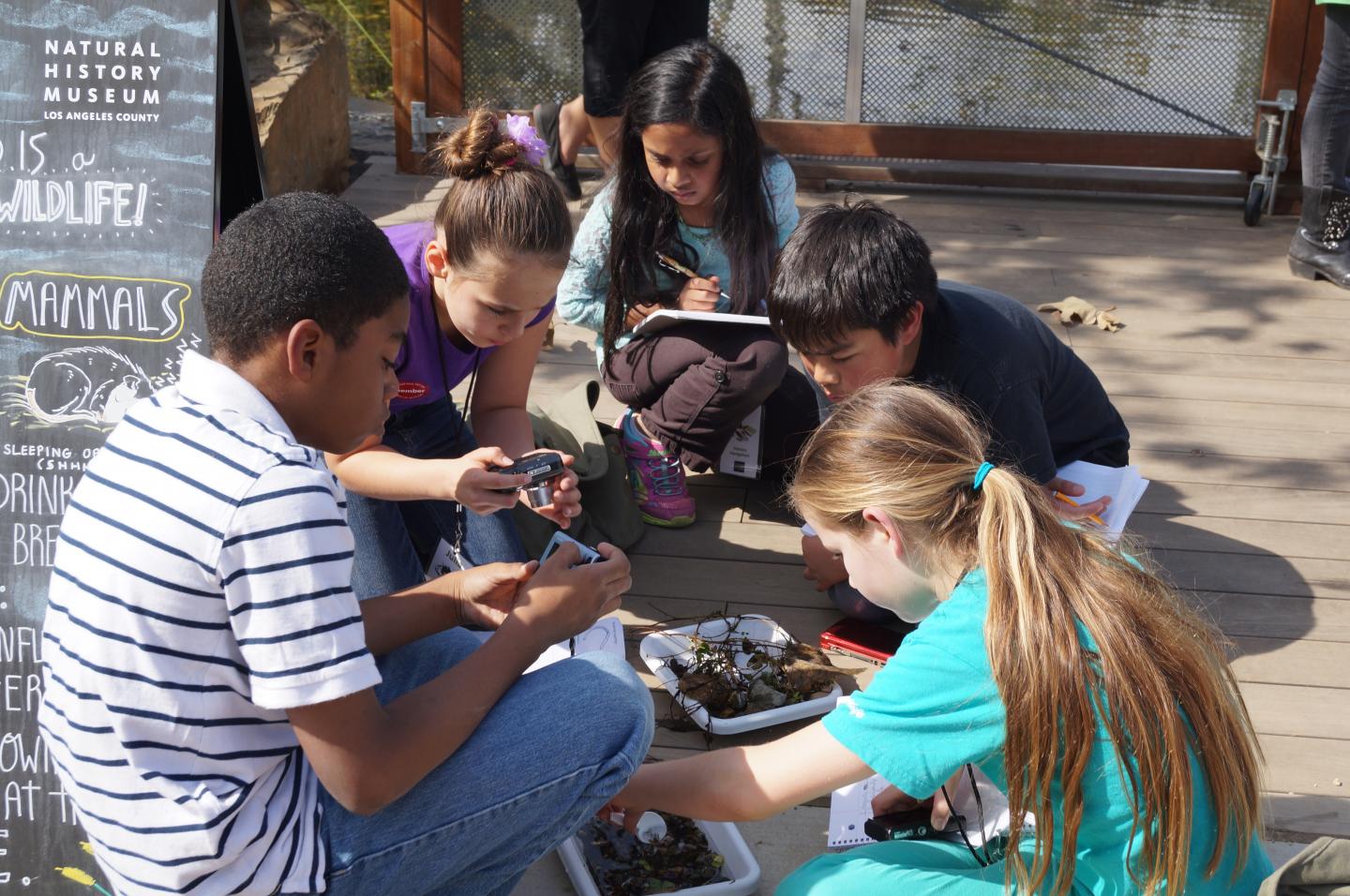 Citizen Science