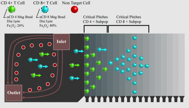 Enabling Technology in Cell-Based Therapies: Scale-Up, Scale-Out or Program In-Place