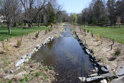 Evolving Towards Sustainability