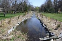 Evolving Towards Sustainability