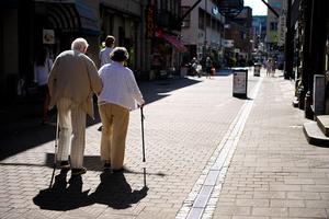 Elderly Couple
