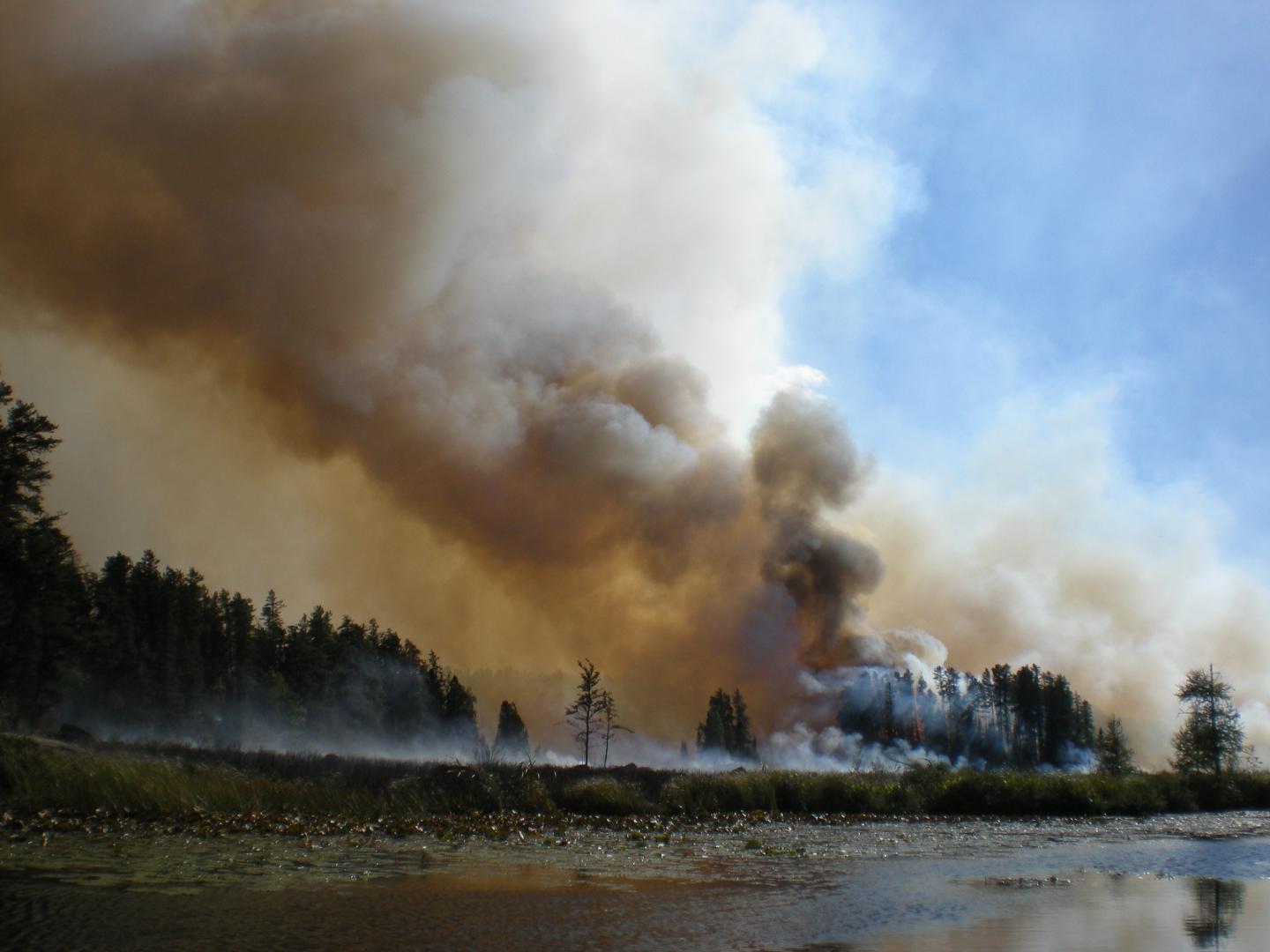 Wildfire