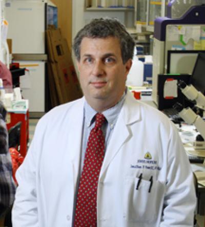 Jonathan Powell, M.D., Ph.D., Johns Hopkins Medicine